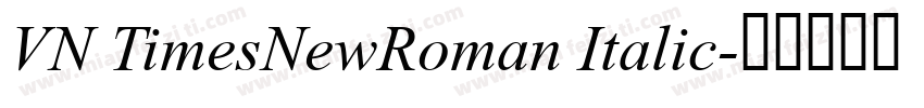 VN TimesNewRoman Italic字体转换